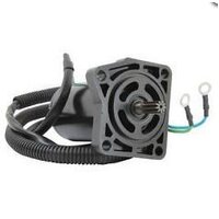 Yamaha Tilt Trim Motor TRM100